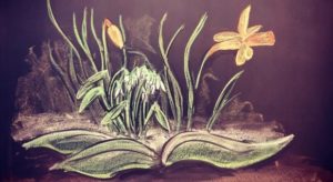 ‘Altijd anders’: De eerste aankondiging